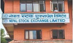 प्रि ओपन सेसन अपडेटः साढे १३ अंक बढ्यो नेप्से